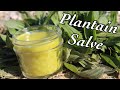 How to make PLANTAIN SALVE // Natural POISON IVY relief!