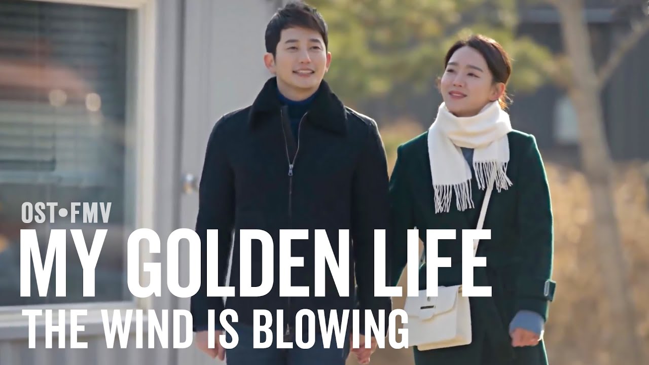My Golden Life (황금빛 내 인생) OST - The Wind Is Blowing by Park Sunye | FMV