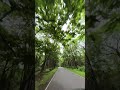 Exploring Karnataka in Monsoon - Shimoga #shimoga #shivmogga #karantaka #travel #adventure #nature