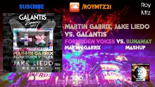 Forbidden Voices Vs Runaway matin Garrix Mashup At umf 2015