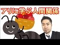 ストレスと無縁の人生は、働きアリが教えてくれる？【働きアリの法則 / 2:6:2の法則】