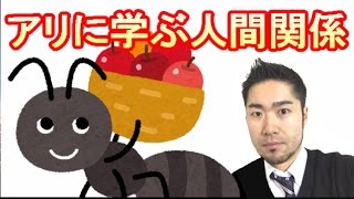 ストレスと無縁の人生は、働きアリが教えてくれる？【働きアリの法則 / 2:6:2の法則】