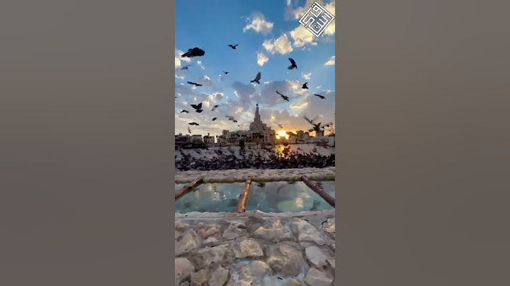 صلوا على الحبيب المصطفى محمد #سورة_الأحزاب #صلوا_على_النبي
