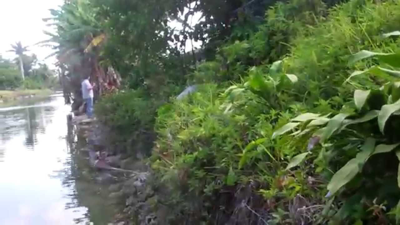 Seawall embankment inspection