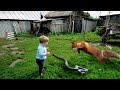 Interesting Animal Moments Caught On Camera