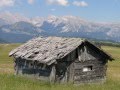 Alpe di Siusi - Südtirol