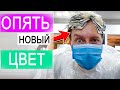 ВЛОГ: Теперь Дима будет прозрачным | Распаковка продуктов из Гудвайна | 3.12.20