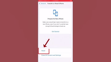 How to clear keyboard history on your iPhone #viral #shorts