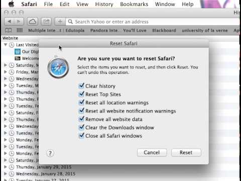 How to delete individual history on safari macbook