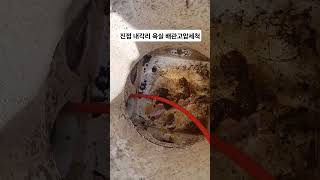 남양주 진접 고압세척 작업