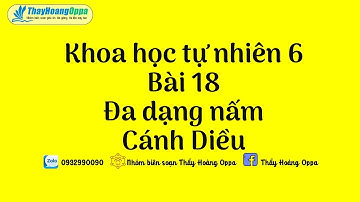 Khoa học tự nhiên 6 - Bài 18 : Đa dạng nấm - Sách cánh diều