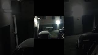 Sevdim G*Tün Kalktı 😂,Egon Tavan Yaptı 😶