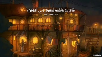 حالات واتساب قرآن 💛 ايات من سورة الفجر 💛 ارح سمعك وقلبك