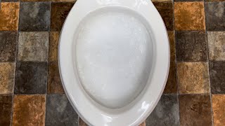 Kohler Memoirs Ingenium Bubbles Flush Test