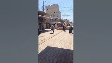 قامشلو اليوم 