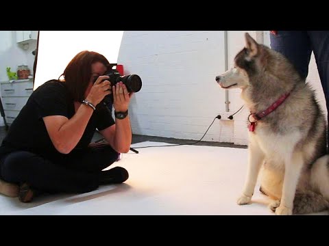 Video: Fotografen tager fat på hjertet og sjælen af 