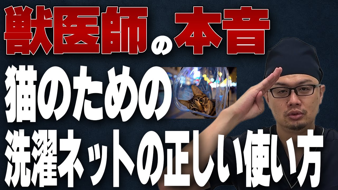 【猫さん初心者向け】猫に洗濯ネットを使うときの正解とNG行動