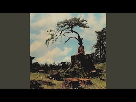 在 YouTube 上觀看「close to the sun」