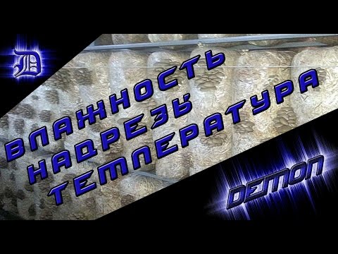 грибные блоки: влажность, надрезы, температура