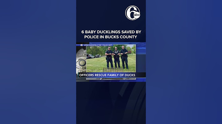 Bucks County police rescue 6 baby ducklings from storm drain
