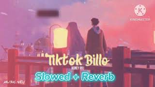 Tiktok Billo - Slowed Reverb - Honey Raaj Umair Awan Lastest Panjabi Lofi Song 2024