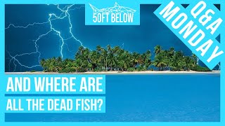 Will Lightning Kill You While Scuba Diving? | Scuba Q & A Monday by 50ft Below 2,725 views 4 years ago 3 minutes, 21 seconds