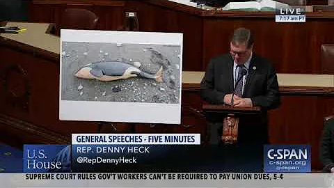 Rep. Heck on protecting Southern Resident Orcas in the Puget Sound