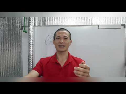 Video: Nhiễm Rickettsial ở Chó