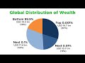 Wealth Inequality and Economic Impact