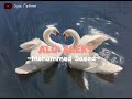 Alo Aleky Mohammed Saeed Speed Up
