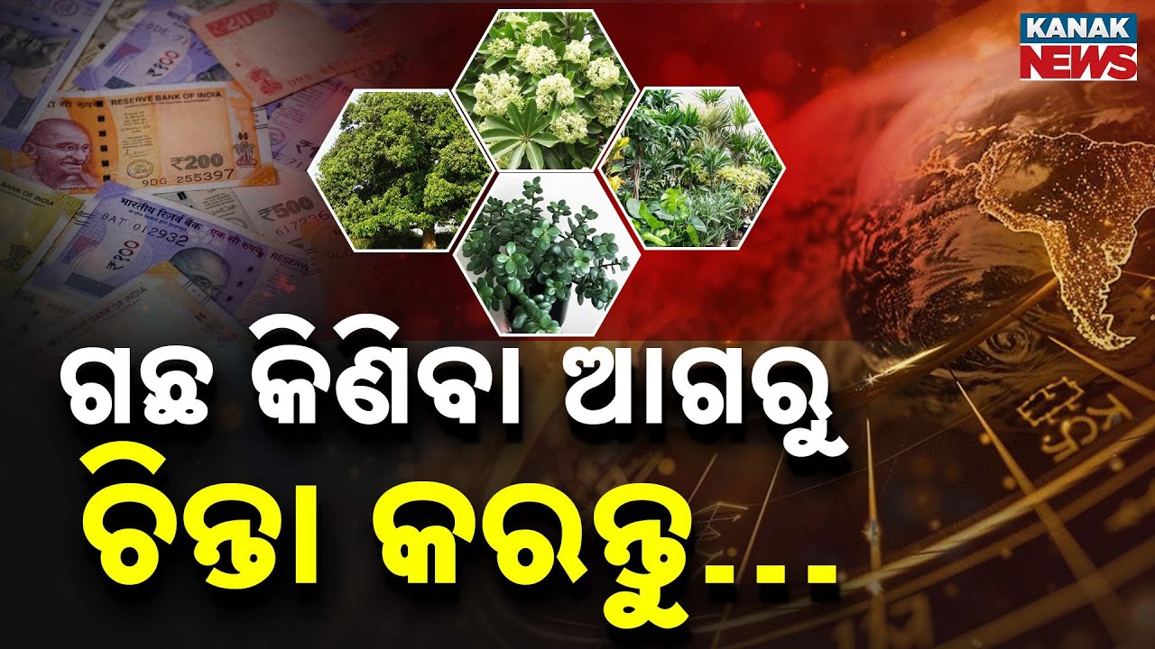 Special Report: Indoor Plants for Home | Vastu Tips, Zodiac Guide & Best Plants in India