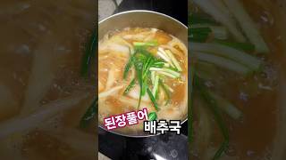 뜨끈한 국물이 땡기는 날씨네요🥬🥬 #배추국 #배추된장국 #집밥 #집밥요리 #된장국 #국물요리 #반찬만들기 #food #foodshorts #koreafood