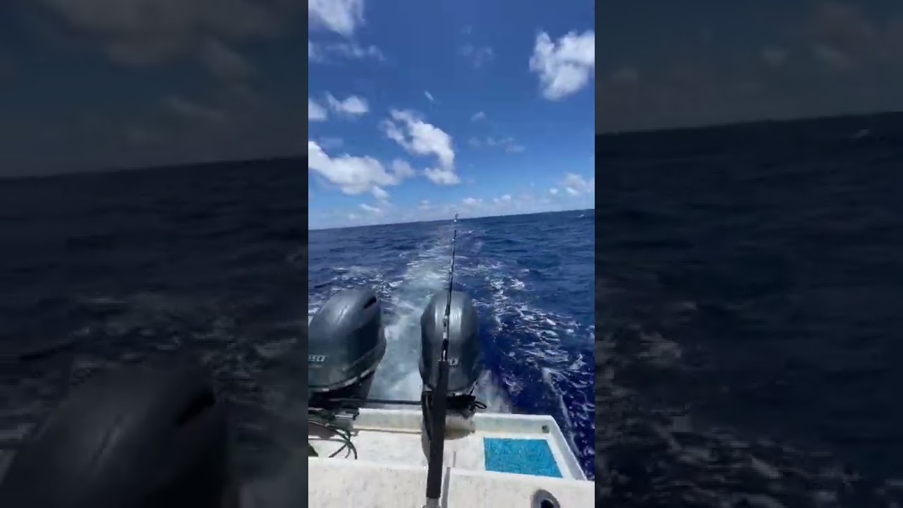 Amazing fishing day on other adventure another day