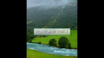 قرآن كريم بصوت اسلام صبحي 🌷 أجمل حالات واتس أب قرآن كريم 💜🌿