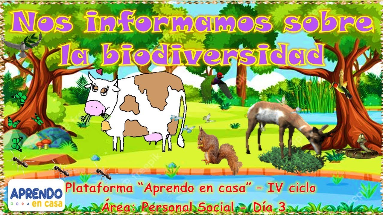 Nos informamos sobre la biodiversidad - aprendo en casa 3° y 4° grado