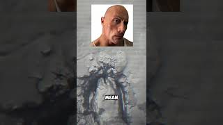 Whats Inside The Holes?