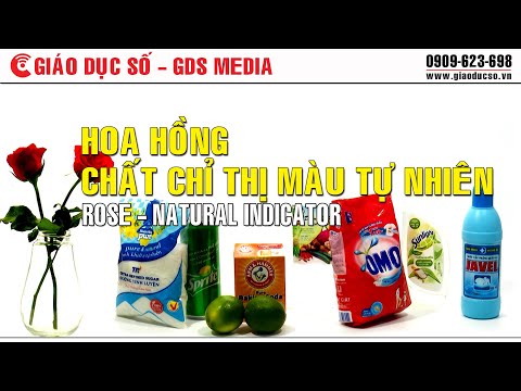 Các Chất Màu Tự Nhiên - Hoa hồng - Chất chỉ thị màu tự nhiên