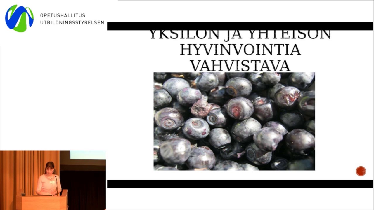 Positiivinen pedagogiikka hyvinvoinnin ja oppimisen tukena, Anne-Mari Kuusimäki, Helsingin Yliopisto