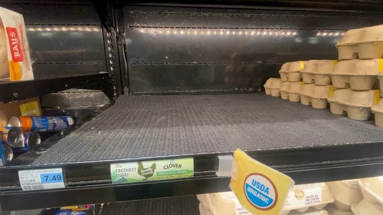 Sonoma County seeing egg shortage amid avian flu outbreak - YouTube