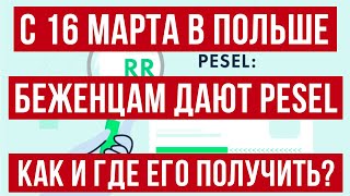 С 16 марта беженцам из Украины в Польше выдают номера PESEL  Как и где получить