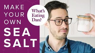 The Science of Salt: How it Impacts Your Cooking and How to Make Your Own: Salt | What's Eating Dan?