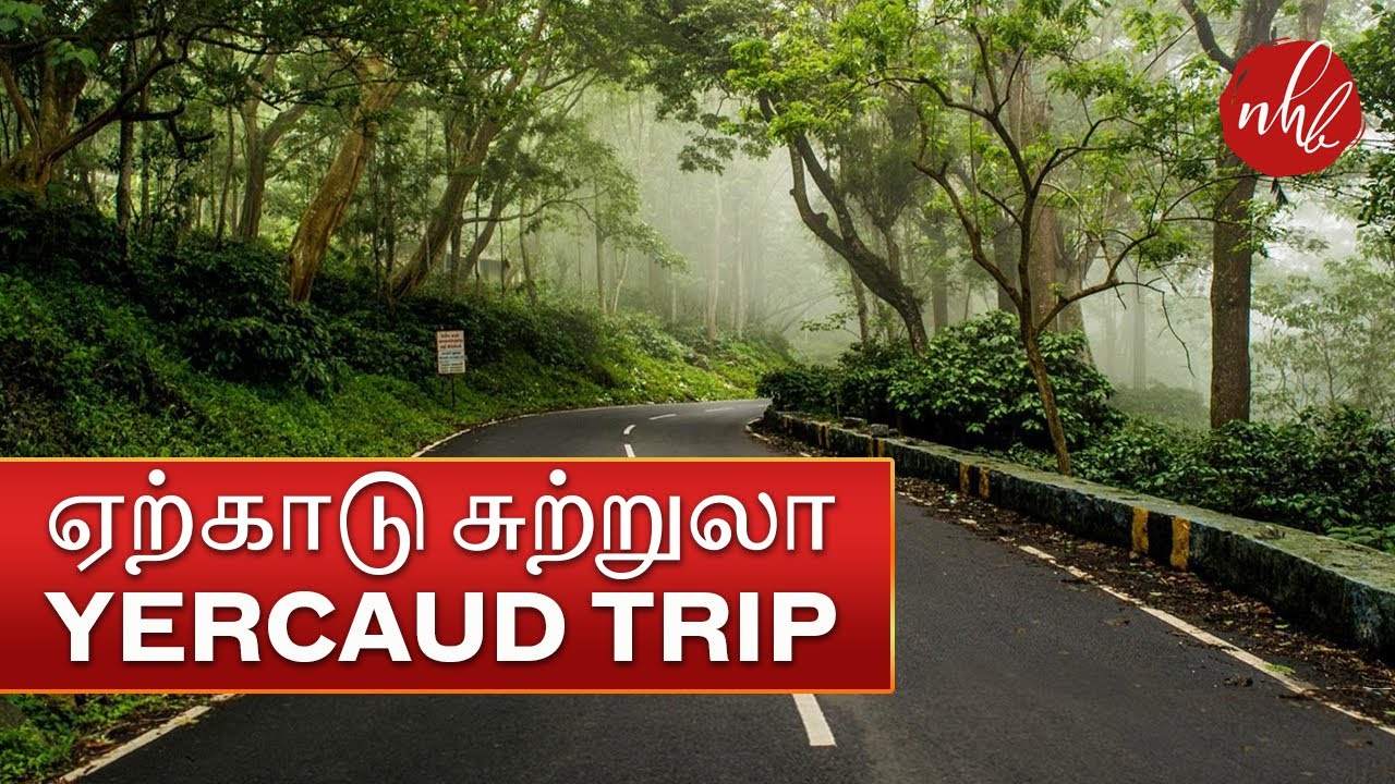 tour operators in yercaud