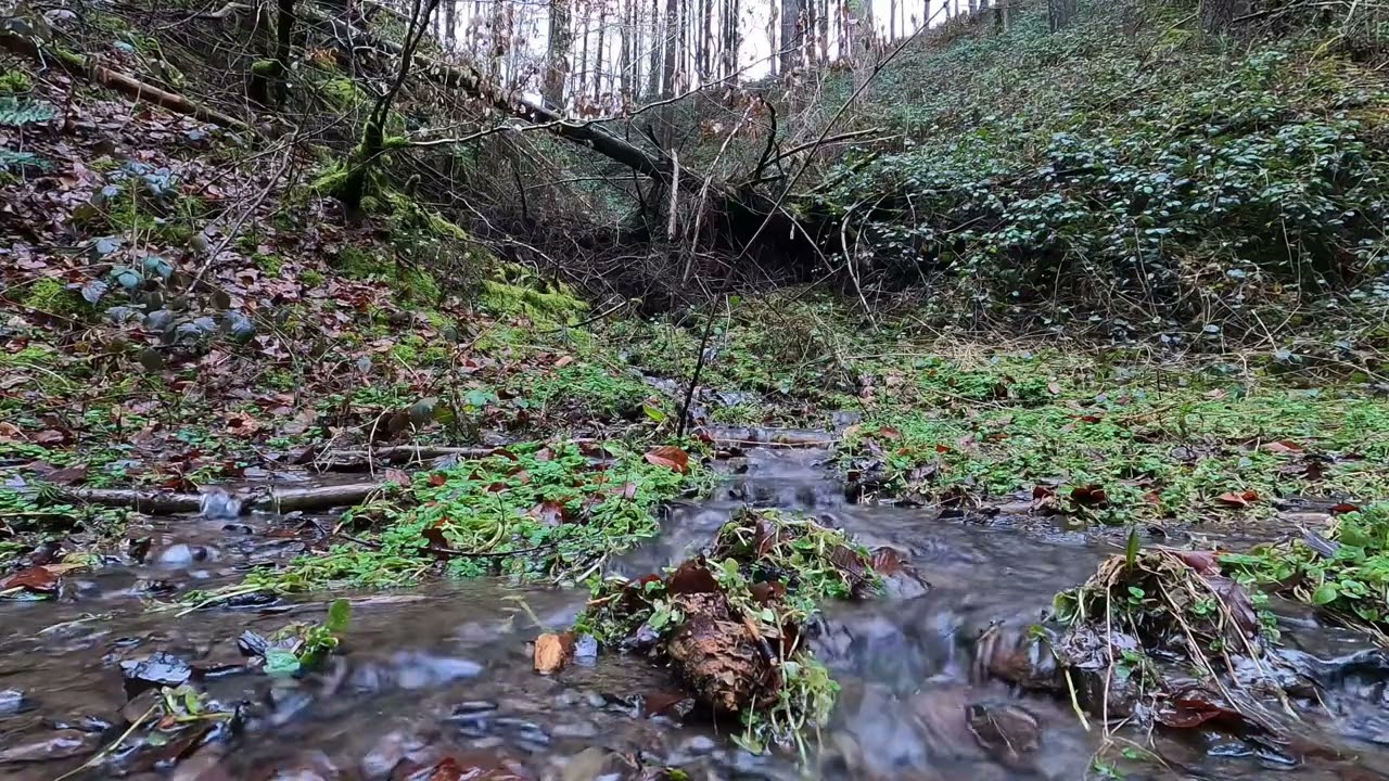 Acht beruhigende Naturszenen