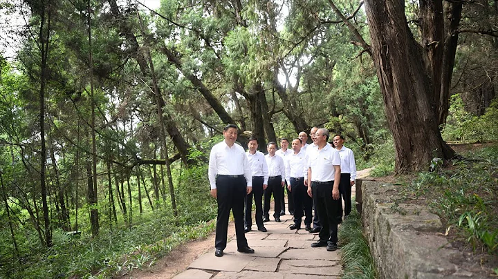 Xi inspects SW China's Sichuan - DayDayNews
