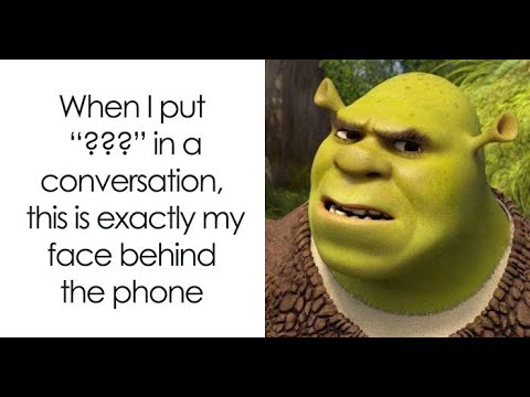 Memes That Everyone