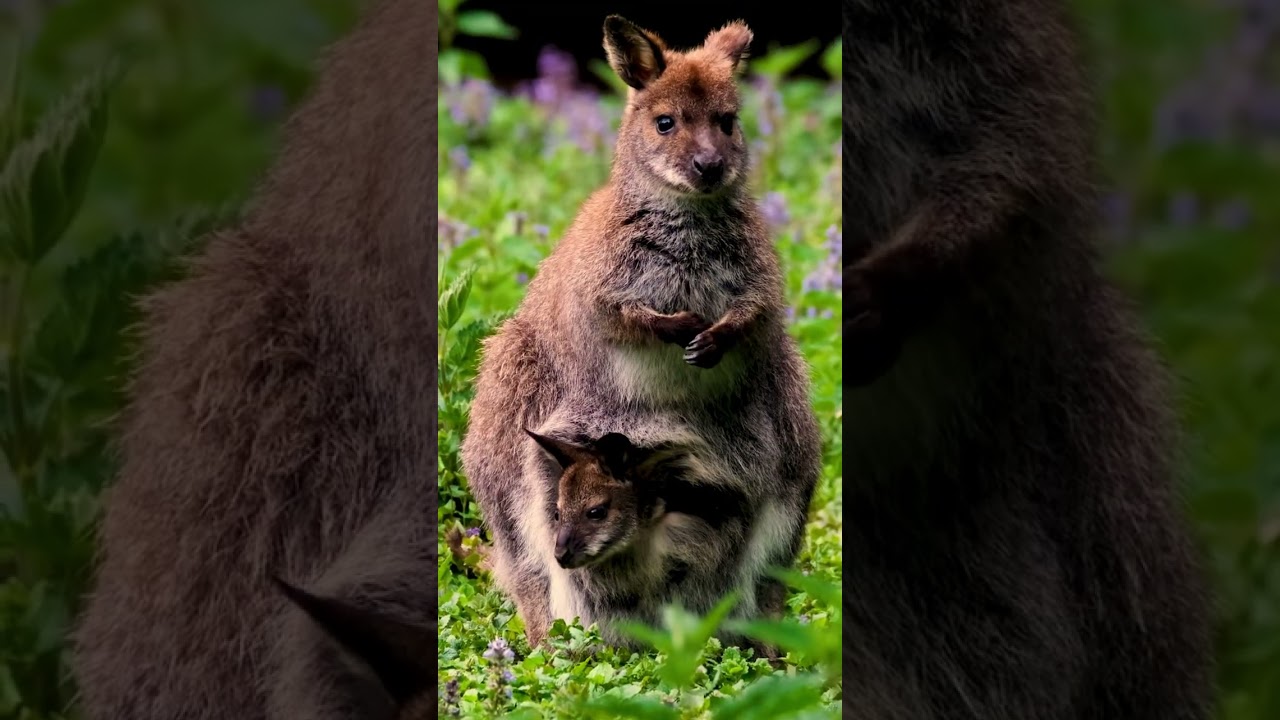 Maybe Time For a Little Break 