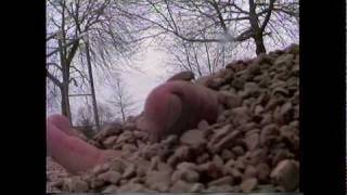 A Look Back Ep. 2 - Tremors III: Terror on the Playground