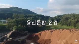 용산톱밥