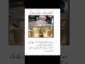 Golden Words Urdu quotes about life/#quotes#respect#viral#monitization#islam