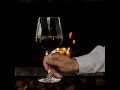 Harry’s Video Blog - Raise a Glass: Purim
